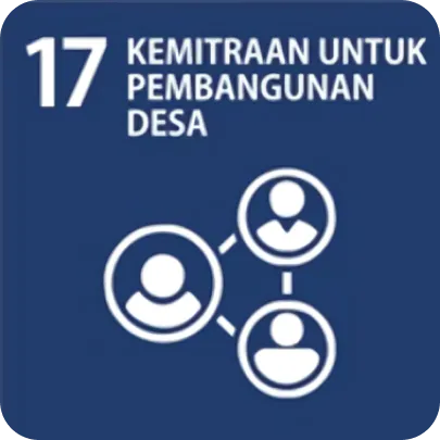 SDG 17
